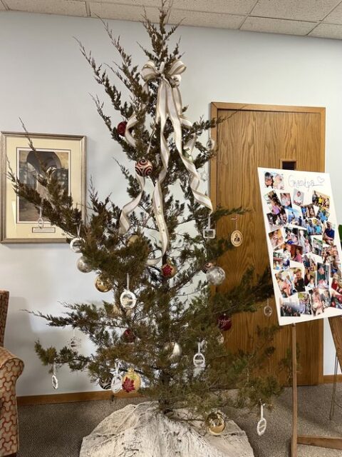 Unique display- memory tree